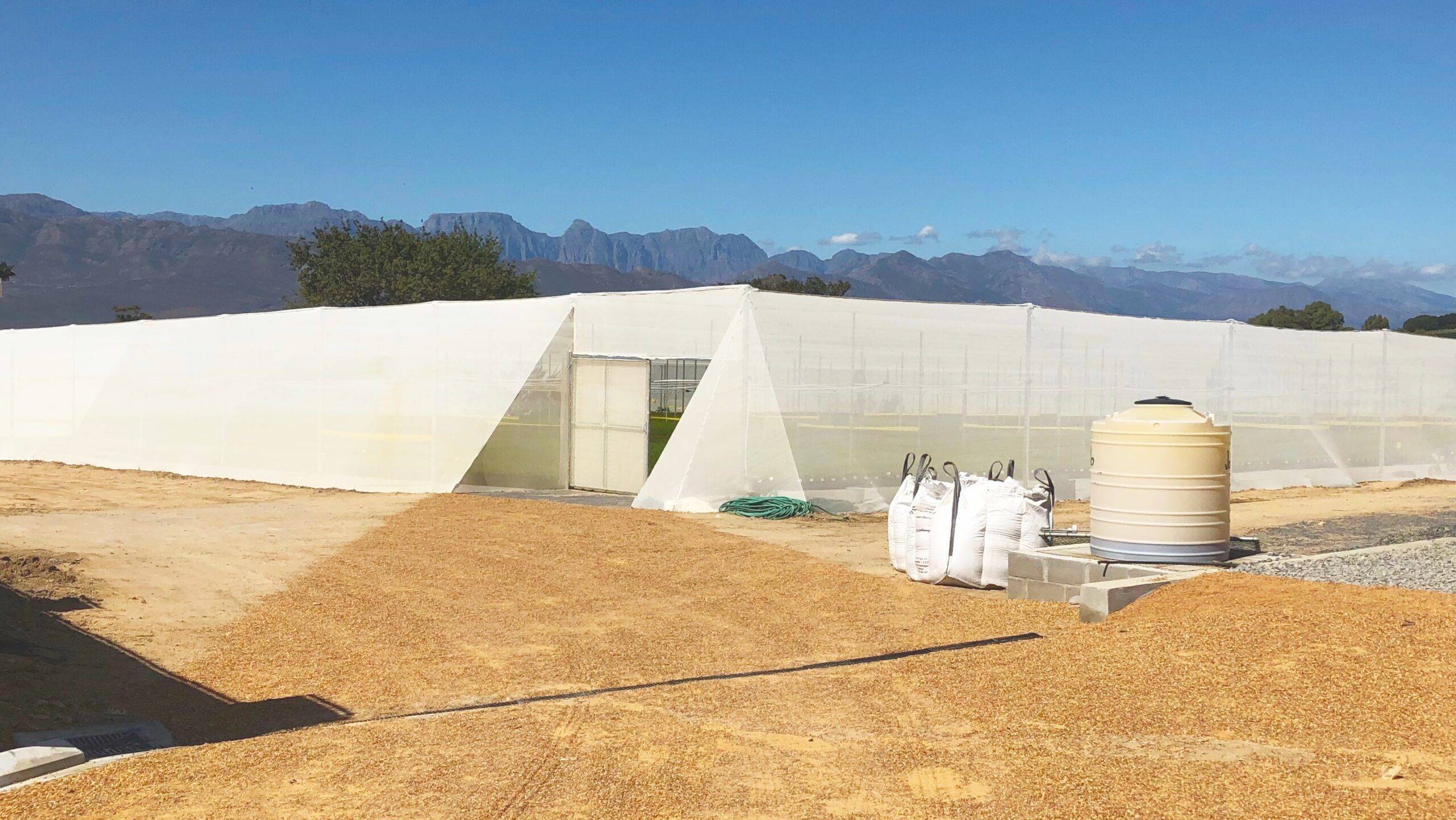 Arrigoni_Robuxta MDF White_2|Arrigoni_Robuxta MDF White|South Africa_Arrigoni_Robuxta_Tensile Structures_